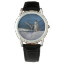 Search for lighthouse watches Storm