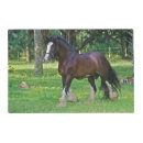 Search for clydesdale horse Ranch