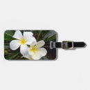 Search for hawaiian luggage tags Plumeria
