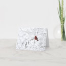 Search for cardinal note cards Birds