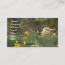 Search for sheep farm business cards Livestock