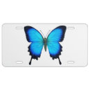 Search for butterfly license plates Butterflies