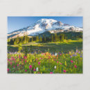 Search for washington state parks postcards Landscape