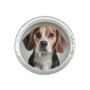 Search for rings Animal