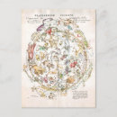 Search for zodiac postcards Celestial