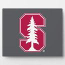 Search for cardinal plaques Stanford university