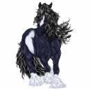 Search for gypsy vanner horse Black and white horse