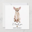 Search for chihuahua birthday cards Pets