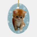 Search for maine ornaments Photography