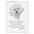 Search for rainbow bridge cards Pets