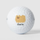 Search for dog golf equipment Cute