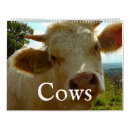 Search for cow calendars Cute
