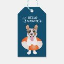 Search for dog days of summer Corgi