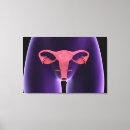 Search for female anatomy canvas prints Healthcare