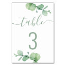 Search for eucalyptus table cards Script