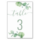 Search for eucalyptus table cards Botanical