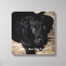 Search for labrador retriever memorial Dog