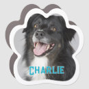 Search for photo magnets Unique