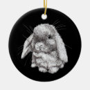 Search for lop rabbit ornaments Eared