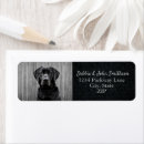 Search for dog return address labels Modern
