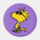 Search for cool magnets Cute