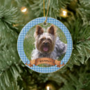 Search for buffalo plaid ornaments Cat