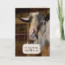 Search for 86th birthday cards Humor