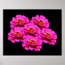 Search for flowers posters Bouquet