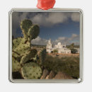 Search for southwest ornaments Tucson