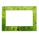 Search for forest green picture frames Leaves