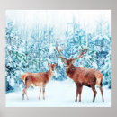 Search for winter scene posters Deer