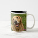 Search for golden retriever mugs Smile