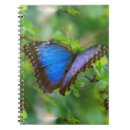 Search for butterfly notebooks Blue