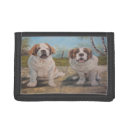 Search for saint bernard gifts Animals