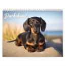 Search for dachshund calendars Puppies