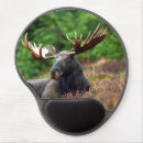 Search for moose mousepads Wildlife