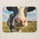 Search for cow blankets Holstein