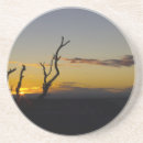 Search for grand canyon coasters Landscape