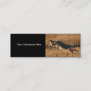 Search for coyote business cards Outdoors