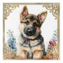 Search for german shepherd dog photo art animals