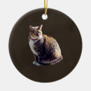 Search for tortoiseshell cat ornaments Tabby