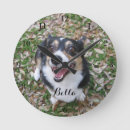 Search for pet photo clocks Create your own