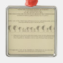 Search for statistics ornaments States