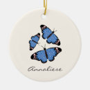 Search for blue butterfly ornaments Illustration