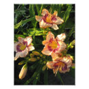 Search for 6x6 posters Floral