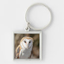 Search for owl keychains Raptor