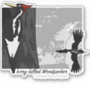 Search for birdwatching bumper stickers Outdoors