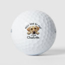 Search for chocolate golf balls Labrador retriever