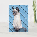 Search for siamese cat birthday cards Kitten