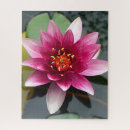 Search for lotus flower puzzles Waterlily